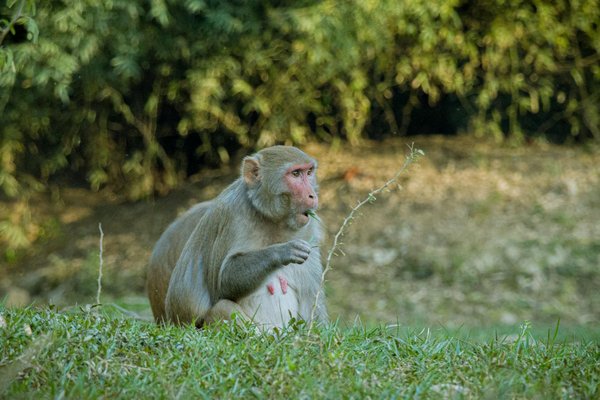 Choisir une protection fiable pour votre bien-être garanti